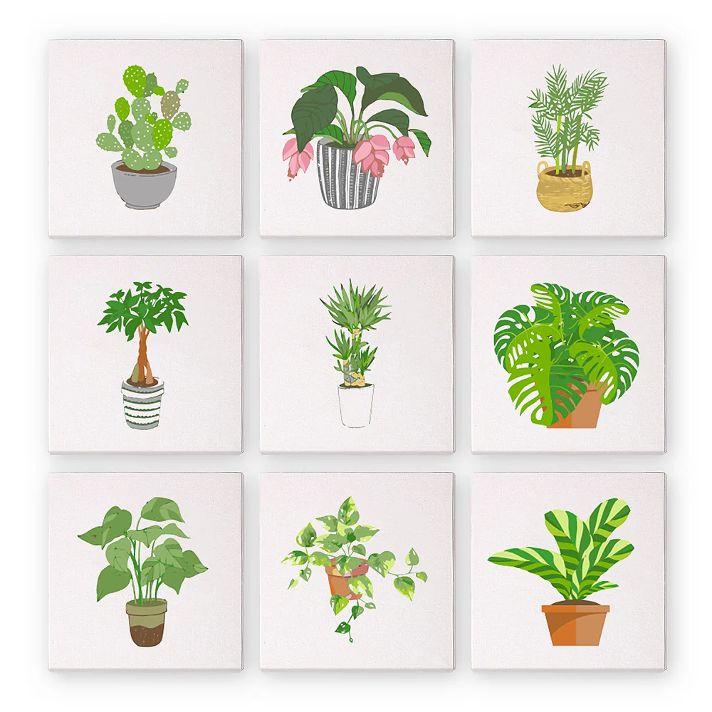 Schilderen op Nummer | Planten