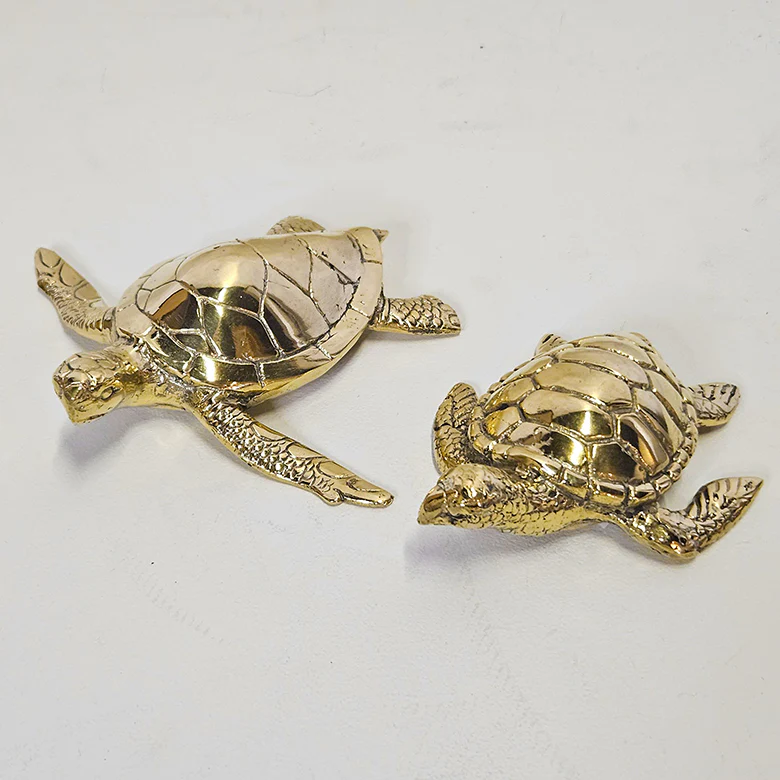 Schildpad brons Schildpad brons