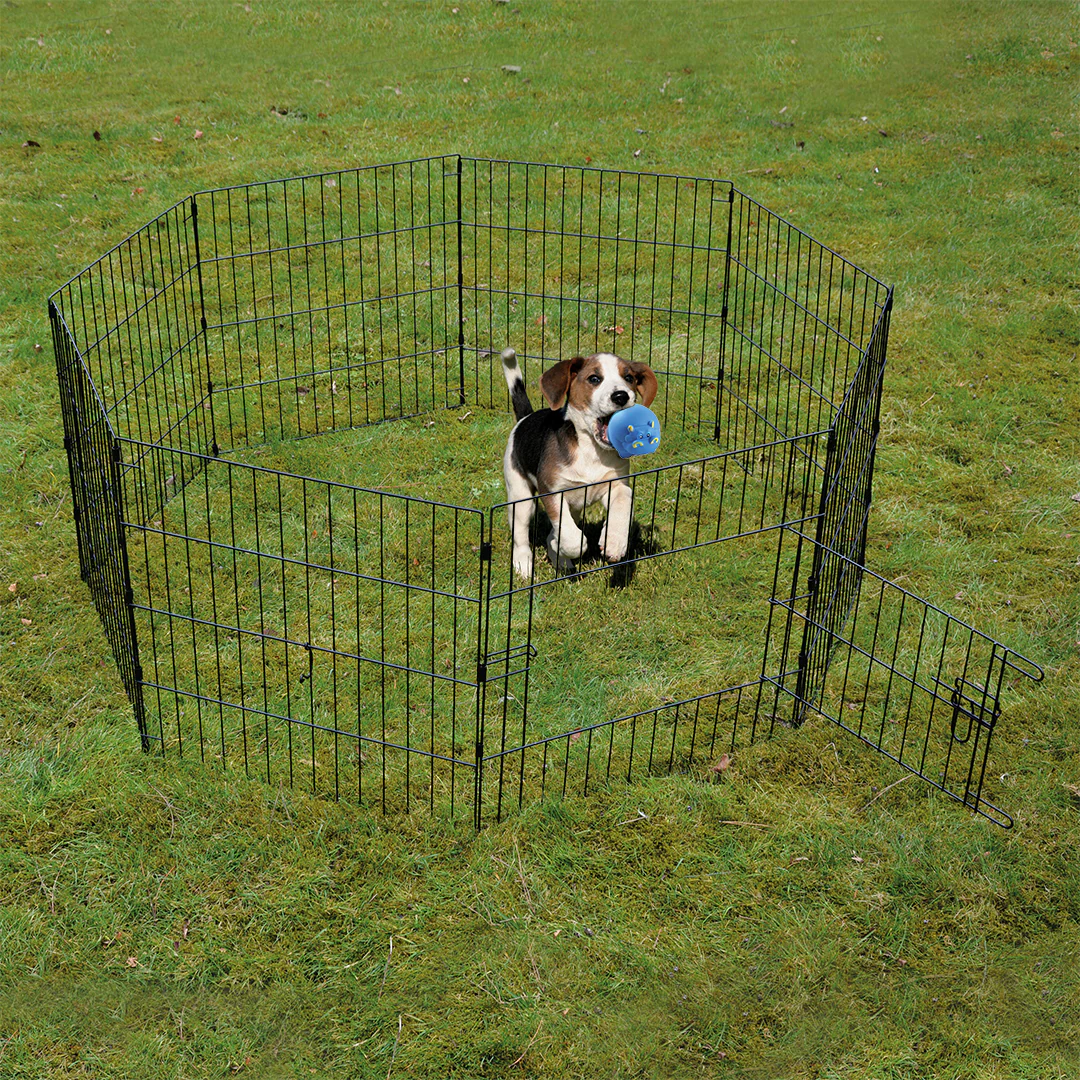 Puppyren met afdeknet