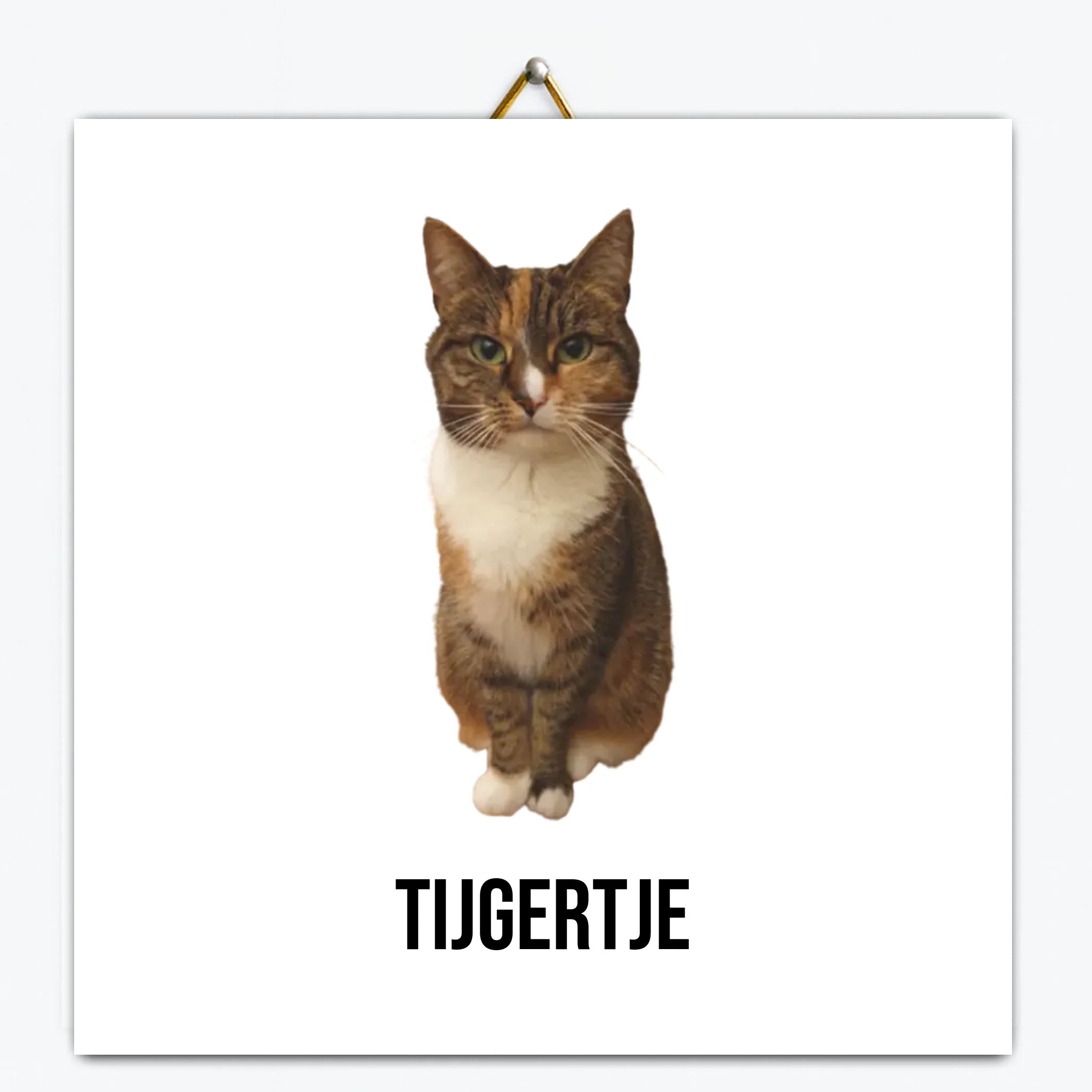 Gepersonaliseerd tegeltje – Uitgeknipt huisdier Gepersonaliseerd tegeltje – Uitgeknipt huisdier