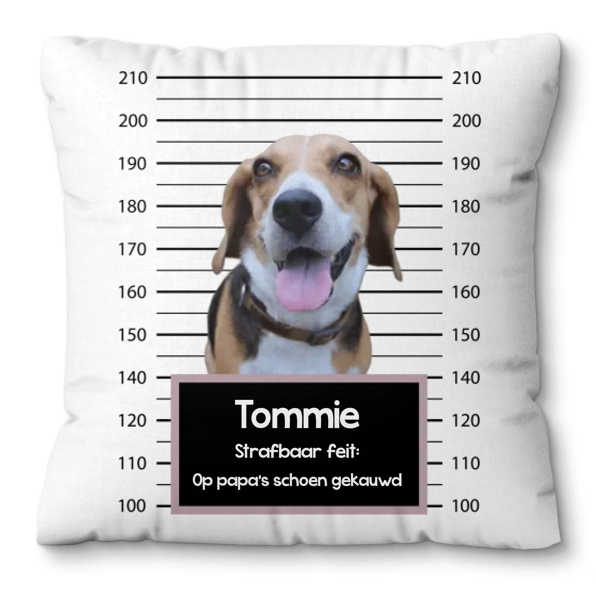 Gepersonaliseerd “mugshot” kussen – Boevenfoto van verdacht huisdier + strafbaar feit