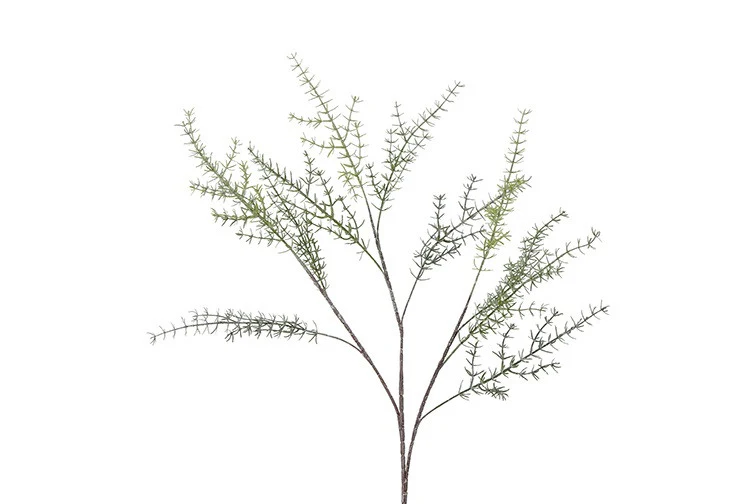 Asparagus (kunstbloem)
