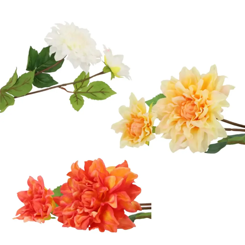 Dahlia Noëlle Dahlia Noëlle