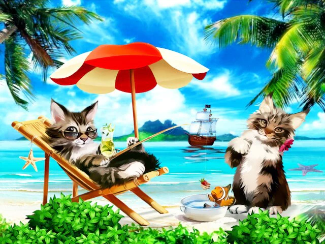 Katten aan het Relaxen