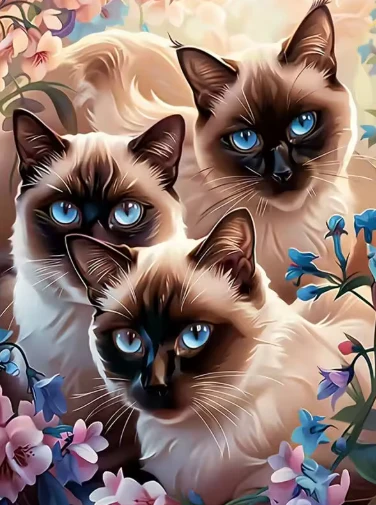 Siamese Katten Siamese Katten