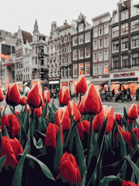 Tulpen in Amsterdam Tulpen in Amsterdam