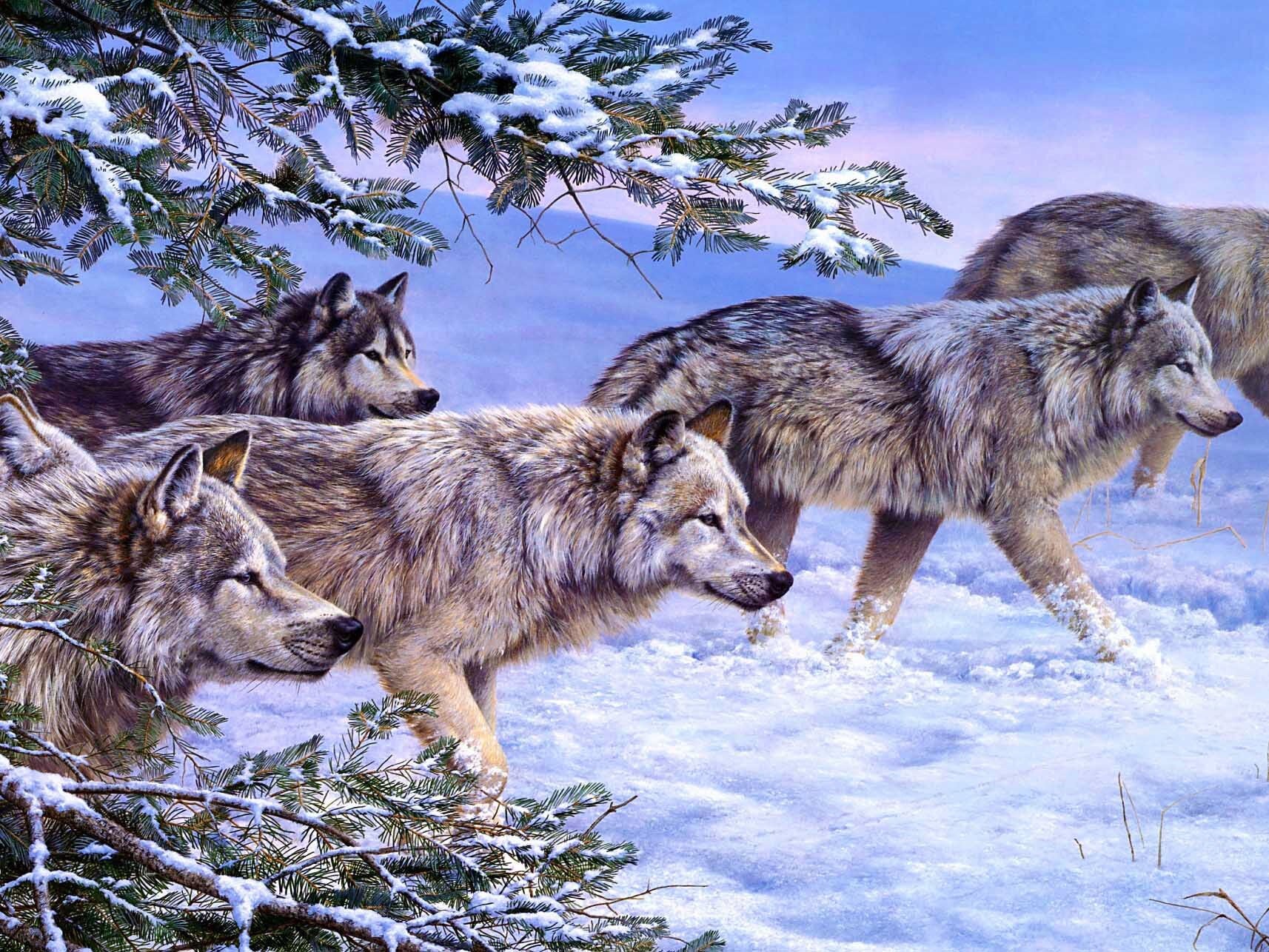 Wolven op Jacht Wolven op Jacht