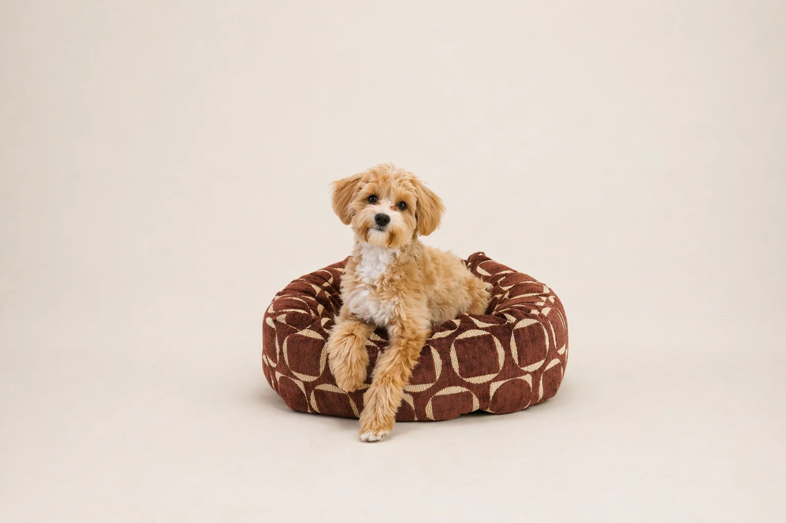 Dogguo donut hondenmand retro print bruin geel