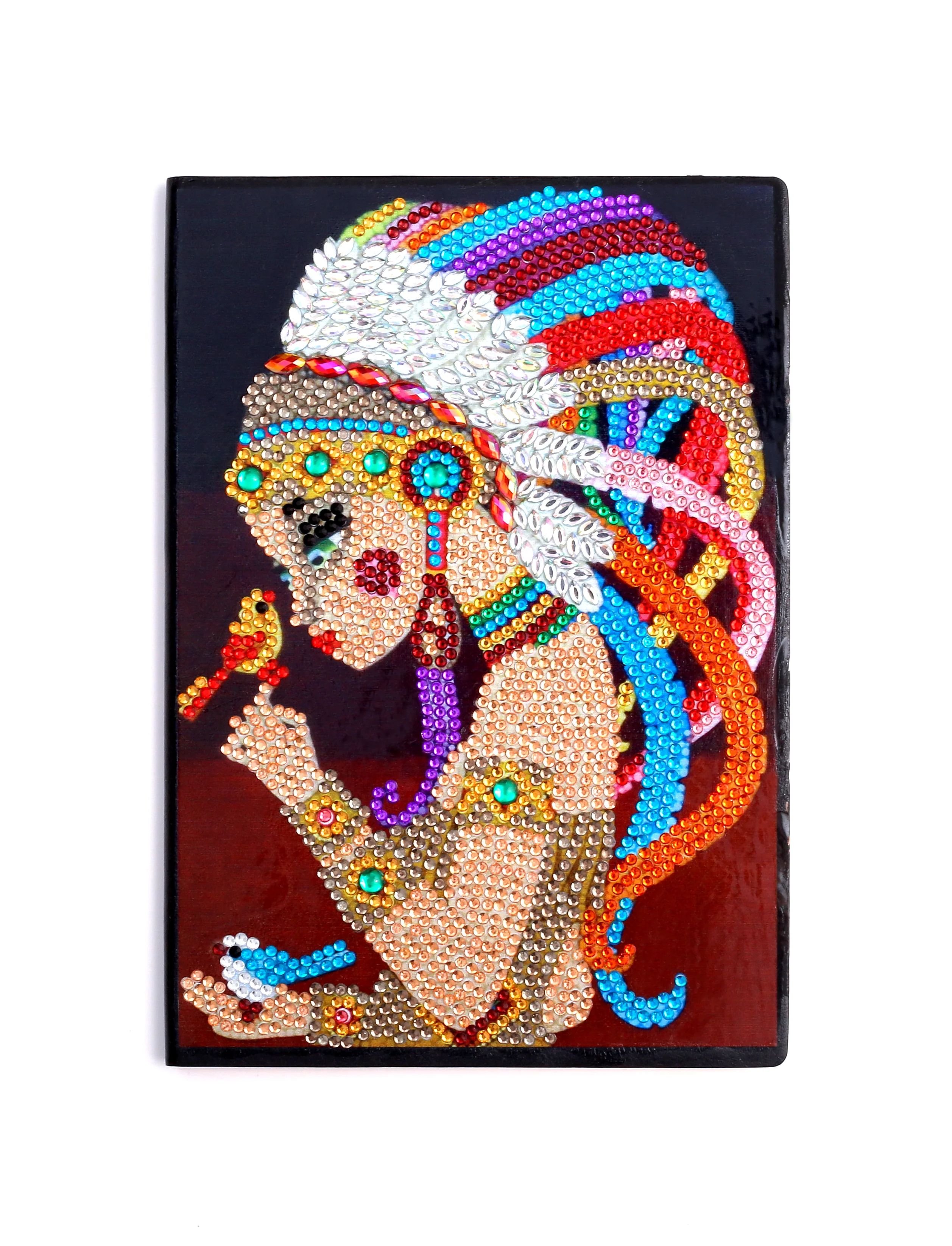 Diamond Painting Notitieboek – Indiaan met Vogels