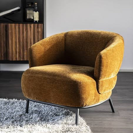 Fauteuil David (3 kleuren)