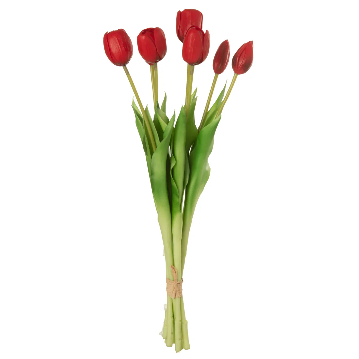 Boeket – Tulpen – 7 stuks – Pu – Rood – L