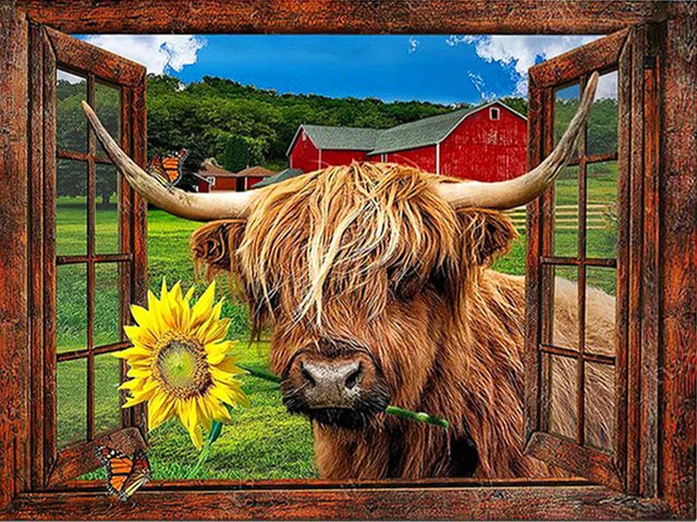 Schotse Hooglander met Bloem Schotse Hooglander met Bloem