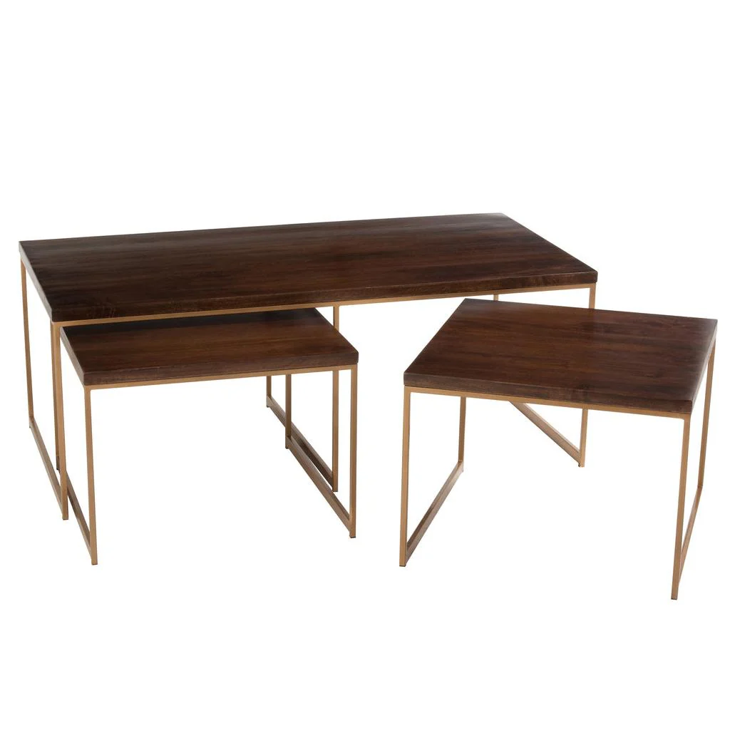 Salontafel Bruin Mangohout hout 60×120 cm