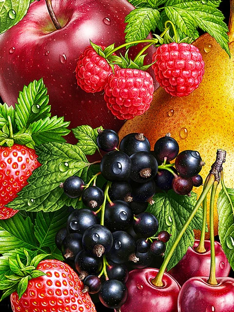 Fruit Soorten Fruit Soorten