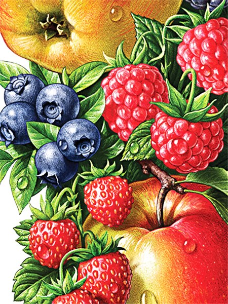 Fruit Fruit