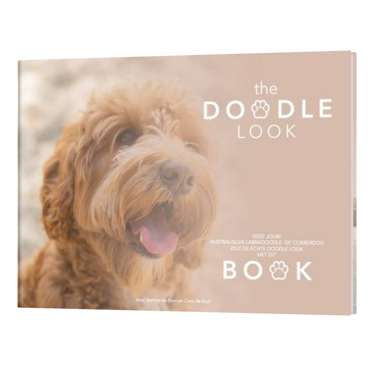 The Doodle Look Book