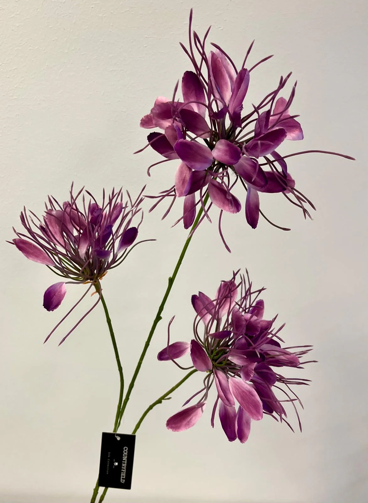 Spinbloem Lycoris (kunstbloem) Spinbloem Lycoris (kunstbloem)
