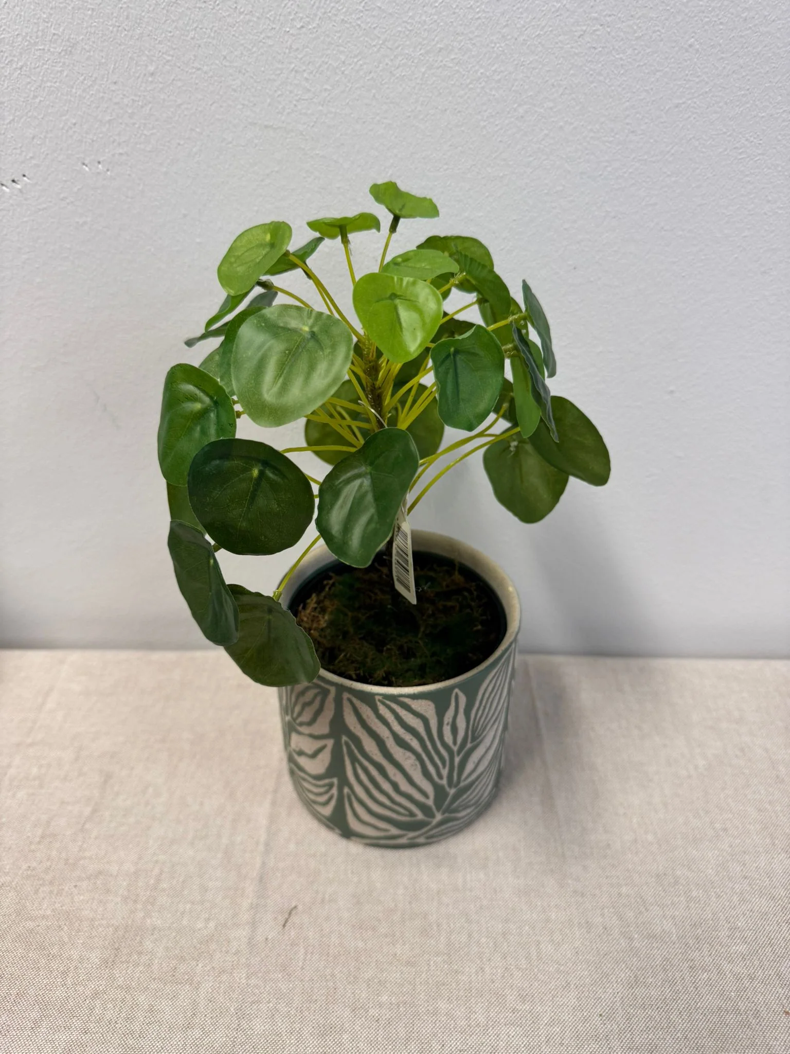Pannenkoekplant (kunstplant)