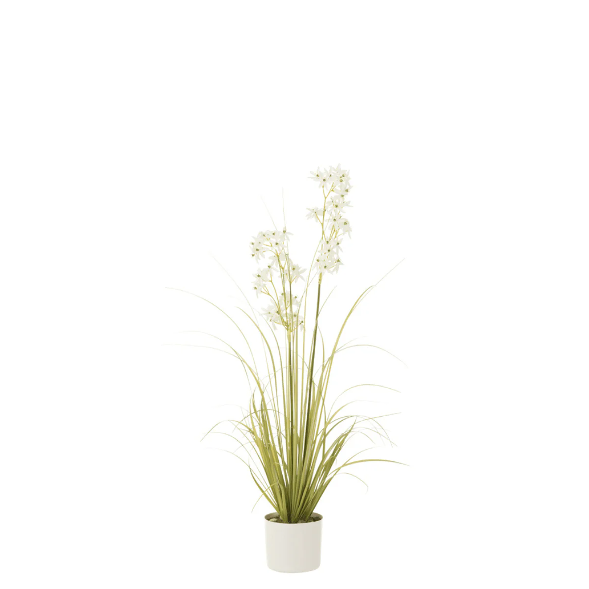 Allium – In Pot – Kunststof – Groen/ Wit – M