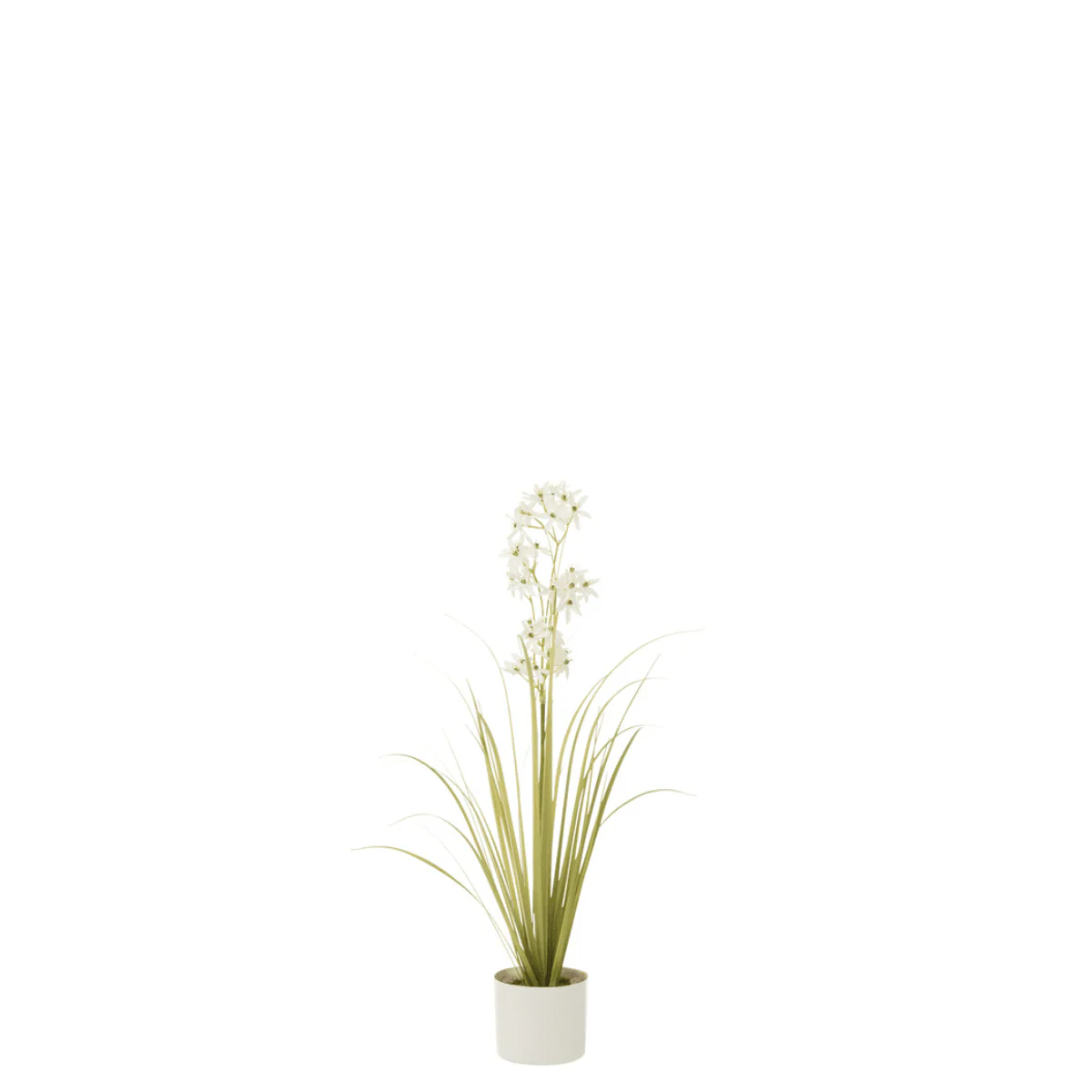 Allium – In Pot – Plastiek – Groen/ Wit – S