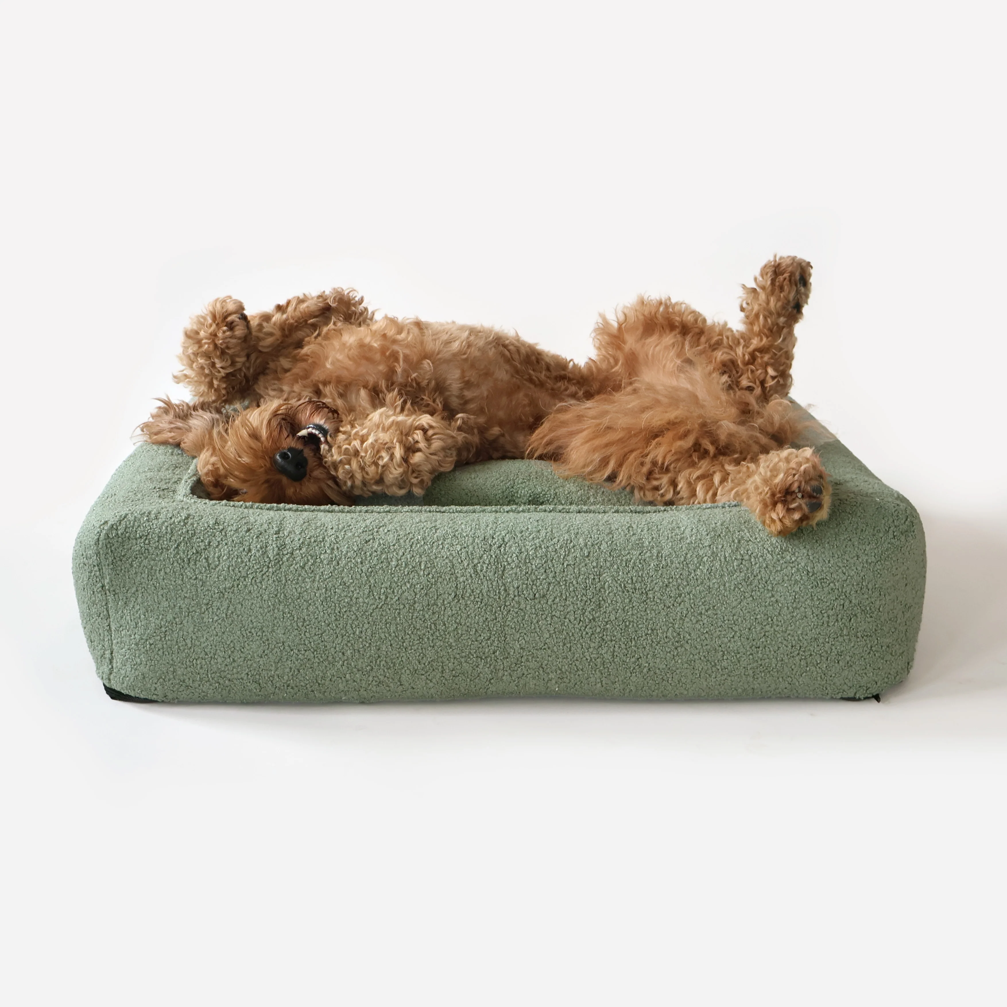 Hondenmand Teddy olijf groen Petlife Overseas Hondenmand Teddy olijf groen Petlife Overseas