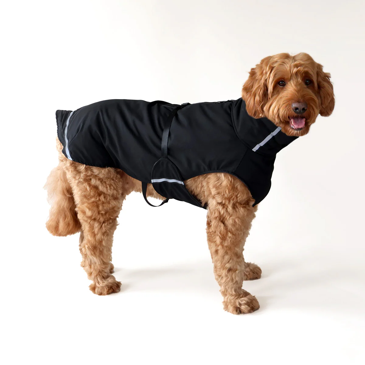 Rainy Superfurdogs