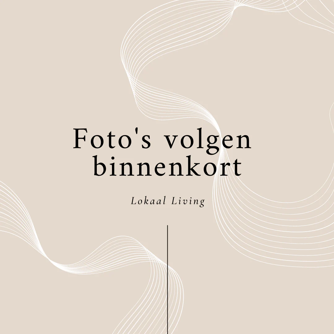 Bloempot hanger Midas (voor 2 potten)