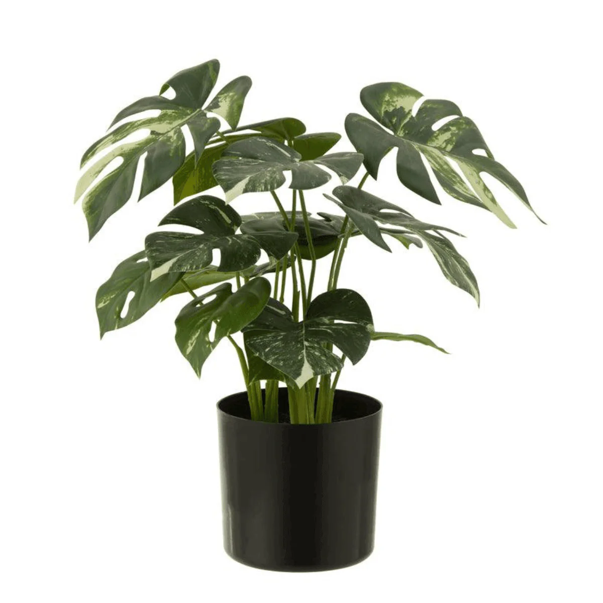 Monstera – In Pot – Kunststof – Groen