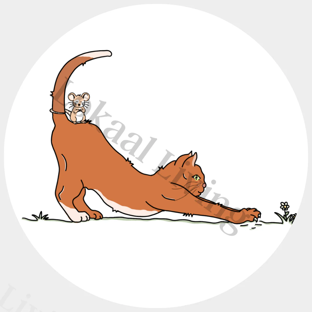 Muurcirkel Kat en muis Muurcirkel Kat en muis