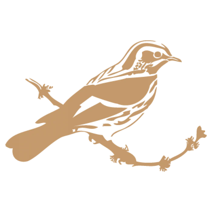 Sjabloon Dieren 01 – Vogel 20x20cm