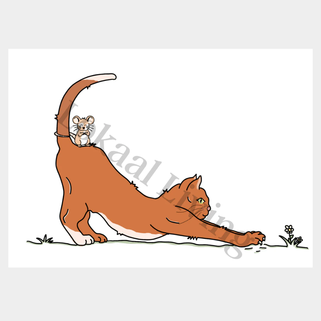 Wenskaart Kat en muis Wenskaart Kat en muis