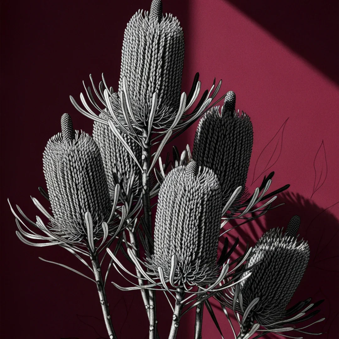 *Release April 2026 – Wine Banksia – Mint by Michelle decoupage paper